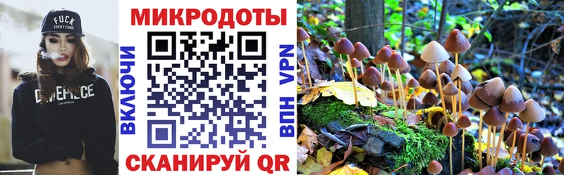 Псилоцибиновые грибы мухоморы Апатиты