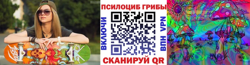 Псилоцибиновые грибы Cubensis  Апатиты 