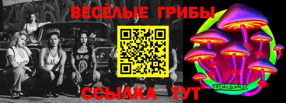 Псилоцибиновые грибы Cubensis Апатиты
