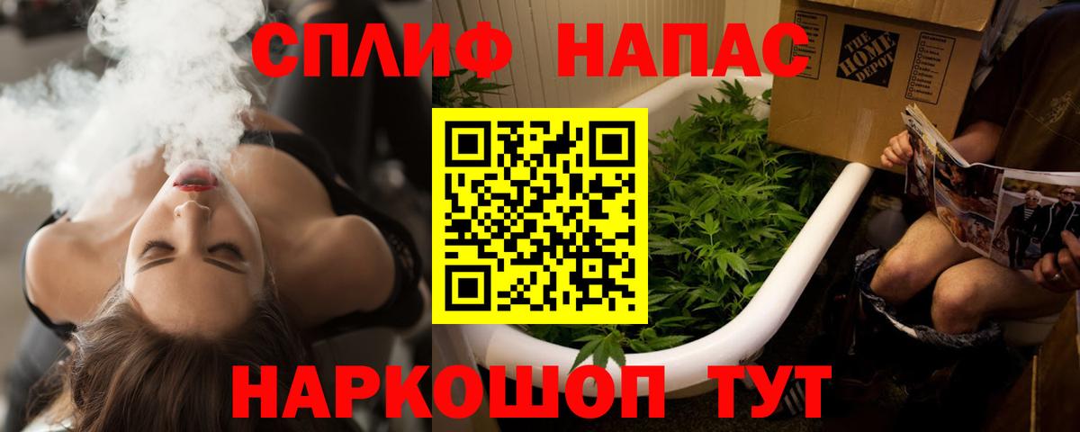 Каннабис индика Апатиты